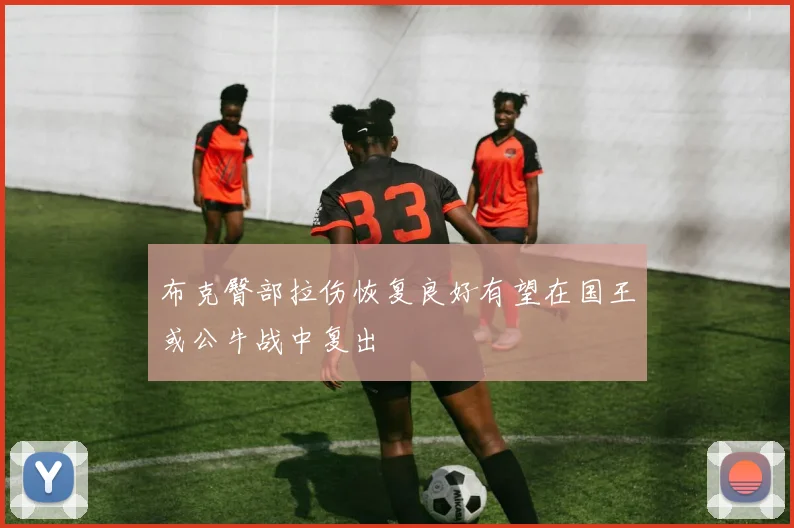布克臀部拉伤恢复良好有望在国王或公牛战中复出