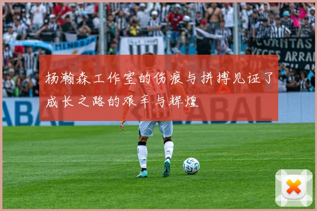 杨瀚森工作室的伤痕与拼搏见证了成长之路的艰辛与辉煌