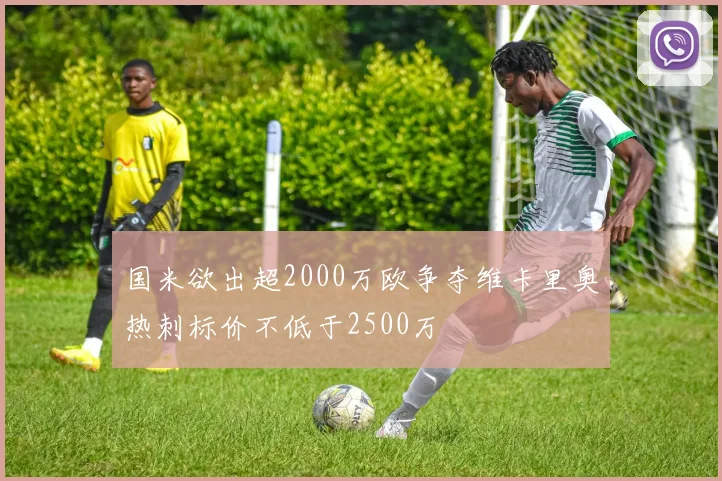 国米欲出超2000万欧争夺维卡里奥热刺标价不低于2500万